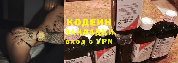 прущие грибы Вязники