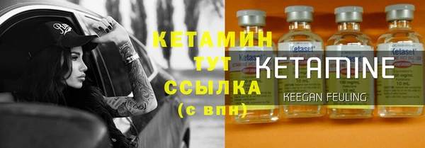 прущие грибы Вязники
