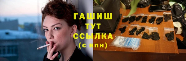 прущие грибы Вязники