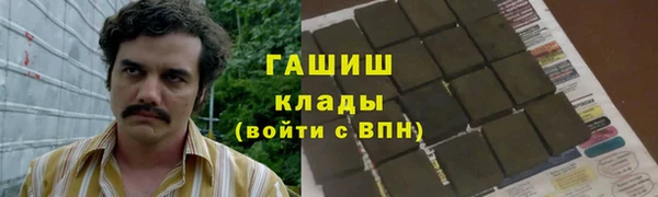 стаф Володарск