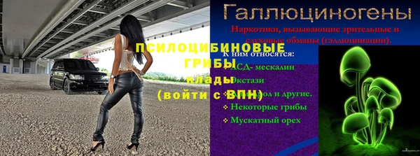первитин Вязьма